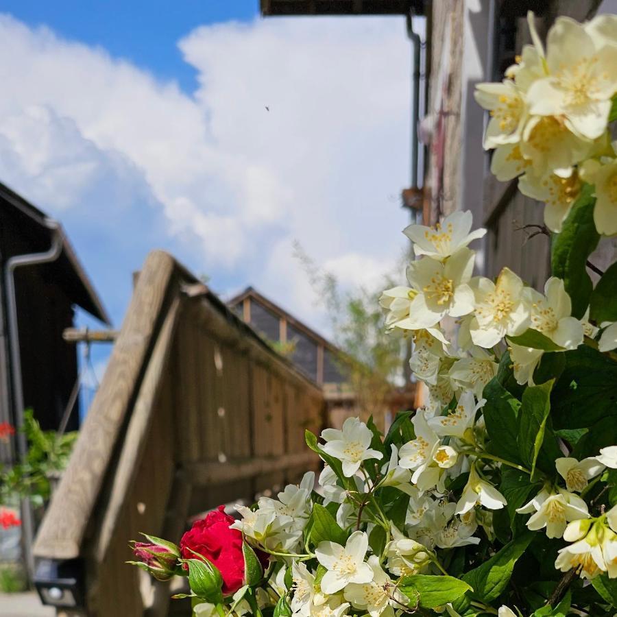 Bonvillard Le Banc Des Seilles 빌라 외부 사진