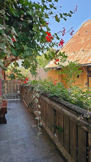 Bonvillard Le Banc Des Seilles 빌라 외부 사진